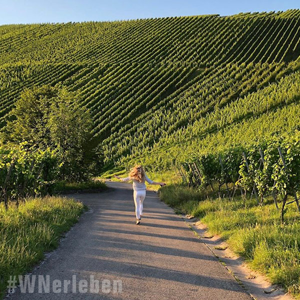 In den Weinbergen um Strümpfelbach