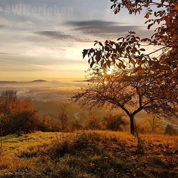 Sonnenuntergang über Schorndorf und den Weinbergen, Fernsicht auf Stuttgart